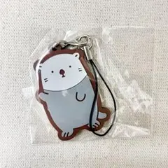 なんでもいきもの　ラッコ