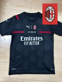 Item thumbnail for item d886a3f7-7847-4ddb-bf92-239b64786098