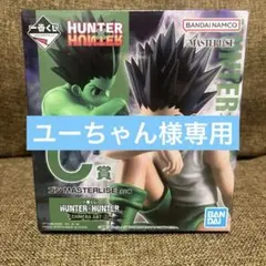 新品未開封　一番くじ HUNTER×HUNTER C賞ゴン MASTERLISE