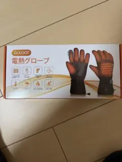 電熱グローブ