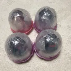 ポケモン ジェムリーズ9 ハバタクカミ×3　サケブシッポ　4点セット
