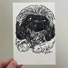 ペキニーズ　手描き犬イラスト ポストカード