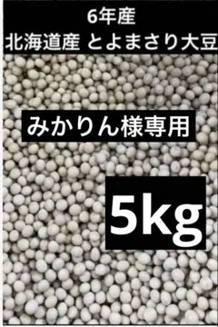 みかりん様専用