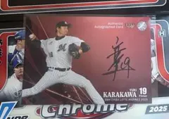 Item thumbnail for item a8e663a2-d4d3-431a-aea6-7dcb27bfc130