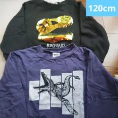 BREEZE モササウルス ロンT H&M 恐竜 トレーナー セット