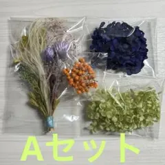 ✳️プリザーブドフラワー 詰め合わせ A