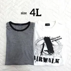 【メンズ 半袖 Tシャツ / 4L】AIRWALK ホワイト / ボーダーのサムネイル