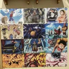 ワンピース　ONE PIECE 一番くじ　海賊王への道　H賞 色紙コレクション