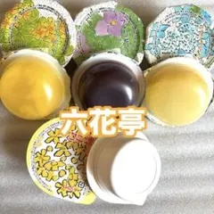 北海道 銘菓 六花亭 夏のゼリー 果肉入 各2つずつ 個数など対応します♡⃛のサムネイル