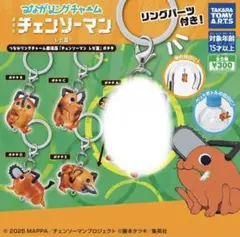つながリングチャーム　チェンソーマン レゼ篇　ポチタ　めじるしチャーム4点セット
