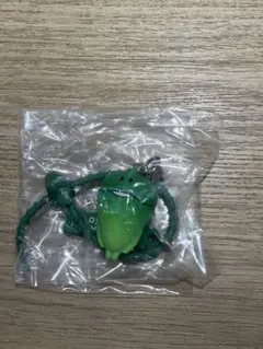 おさわり探偵なめこ栽培キット カラフルマルチチャーム 緑黄色なめこ