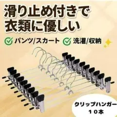クリップハンガー 10本セット ステンレス クリップ ズボン パンツ スカートのサムネイル