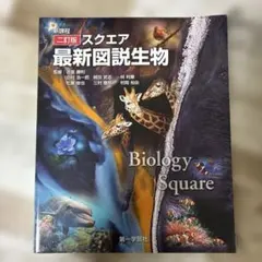 さとぅ様 リクエスト 2点 まとめ商品
