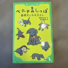 Item thumbnail for item 8d0e005c-f8bc-4a58-bdf7-69b99b5be692