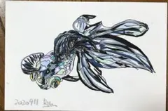 出目金　絵画　イラスト