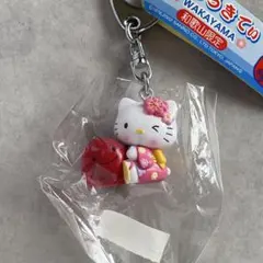 ご当地キティ 和歌山限定 パンダ 根付けストラップ 紀州梅 希少 レア 2013 ハローキティ ご当地 和歌山限定 梅 うめ ストラップ 根付 平成 レトロ
