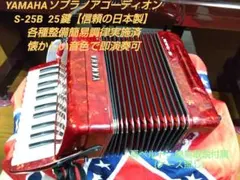 2025年最新】アコーディオン 楽器 ソプラノの人気アイテム - メルカリ