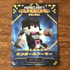 マイクラダンジョンズ　星5 エンダーのアーマー