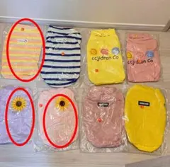 Item thumbnail for item 24dc26a1-f358-409a-9362-5422a7b74be3