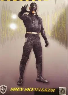 シュン・スカイウォーカー ポートレート