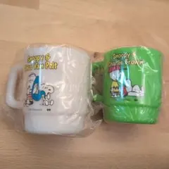 スヌーピー＆チャーリー・ブラウン マグカップ2個セット
