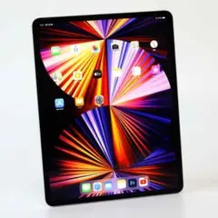【美品】IPad Pro 12.9インチ M1チップ+ ApplePencil2