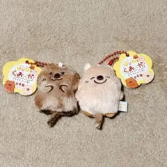 くまのぬいぐるみ2個セット