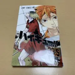 ハイキュー 劇場版 ゴミ捨て場の決戦 映画 入場者特典 33.5巻 音駒番外編