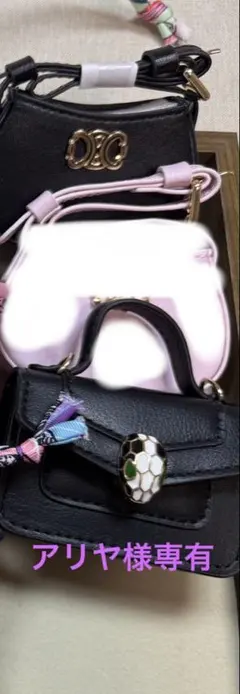 アリヤ様　専有黒2点セット