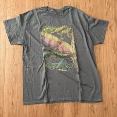 フルーツオブザルーム　Tシャツ　古着　ヴィンテージ　虫　バッタ　昆虫　メンズ