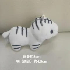姫セン ホワイトタイガー ぬいぐるみ マスコット ボールチェーンのサムネイル