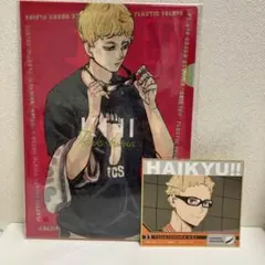 月島蛍 クリアファイル&色紙セット