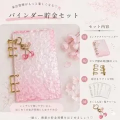 アクリルバインダー リフィル5枚（耳付き）ピンク 貯金 韓国　家計管理