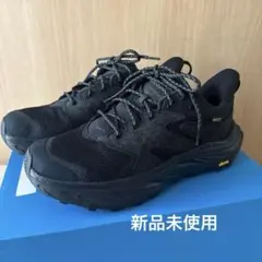 2025年最新】hoka anacapa 2 low gtxの人気アイテム - メルカリ