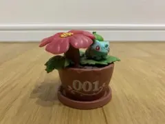 ボタニカル　ポケモンフィギュア　フシギダネリーメント