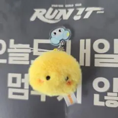 straykids フィリックス ポガリ マイクロ ソウルコン RAN IT straykids フィリックス ポガリ マイクロ ソウルコン RAN IT - メルカリ