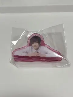 エーステ　アクリルクリップ　綴