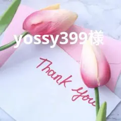 yossy399様 リクエスト 2点 まとめ商品