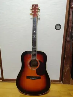 Aria アコースティックギター ADW 250 VS - メルカリ