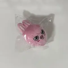 2026年最新】チャンビン ぬいぐるみの人気アイテム - メルカリ