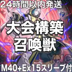 遊戯王 デッキ 召喚獣 ドラゴンテイル アレイスター [04979] - メルカリ