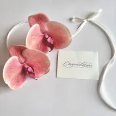 Item thumbnail for item e46c000d-440f-4b95-b92b-d44e0d506fa7