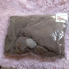 BoA   ロンパースくまちゃんに変身