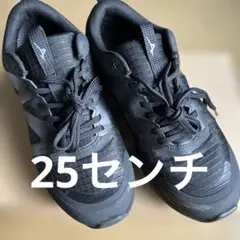 MIZUNO GORE-TEX ウォーキングスニーカー防水
