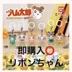 即購入⭕️ とっとこハム太郎　めじるしアクセサリー　ちゅりー！ リボンちゃん