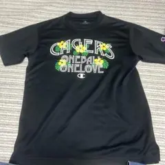 Item thumbnail for item c702073d-5726-4a1f-b585-019ded01876f