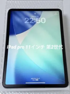 iPad pro 11インチ 第2世代　128GB Cellularモデル