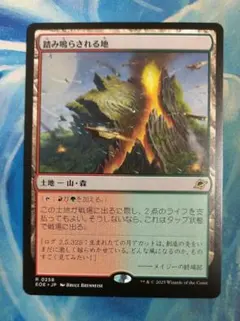 2026年最新】踏み鳴らされる地の人気アイテム - メルカリ