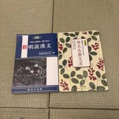 新明説漢文・体系古典文法 2冊セット