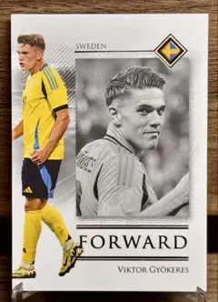 スウェーデン代表 ギケレシュ&イサク 、FUTERA UNIQUE BASE